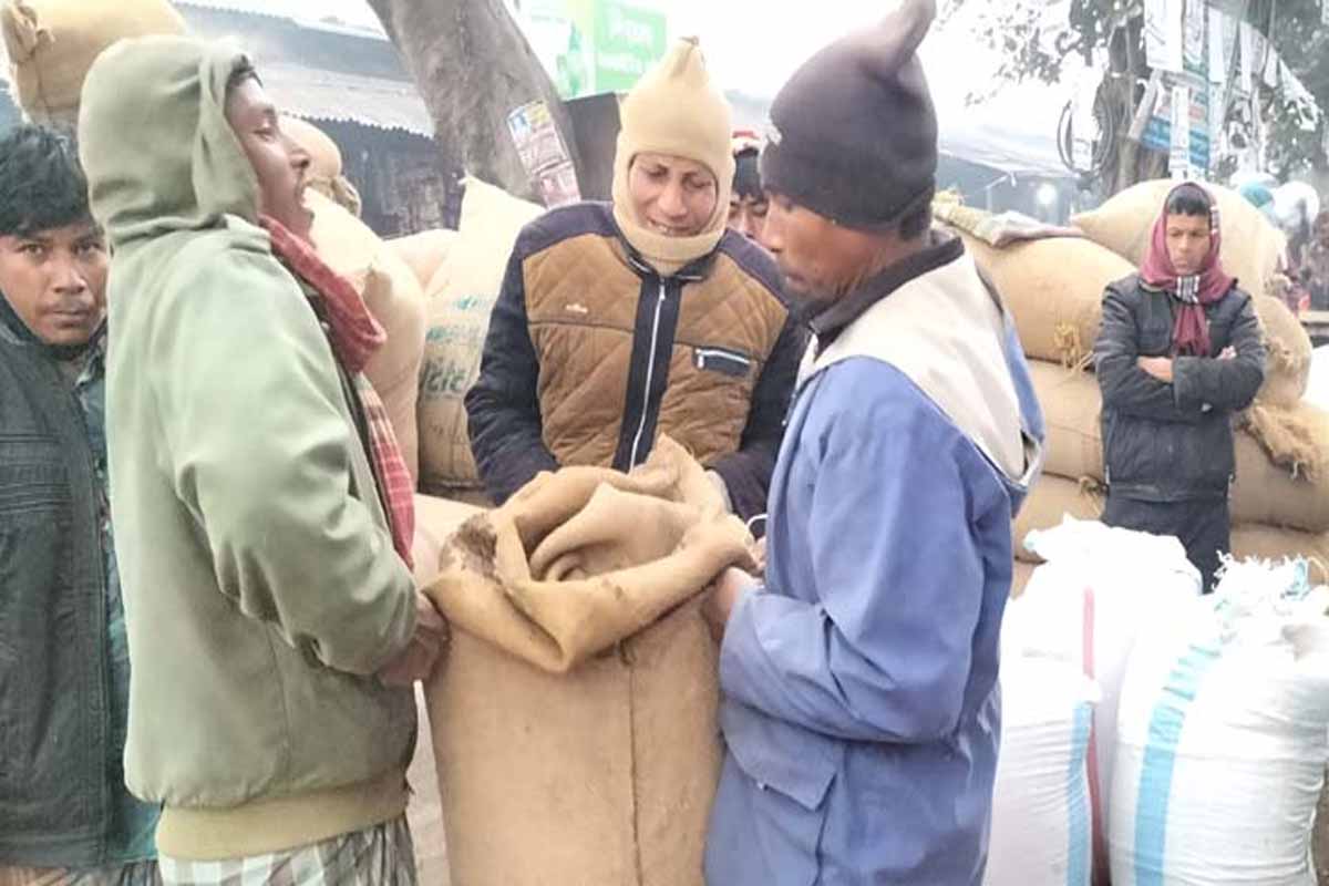 ধানের দাম বেড়েছে বস্তায় আড়াইশ টাকা, চাল কেজিতে ১০ টাকা