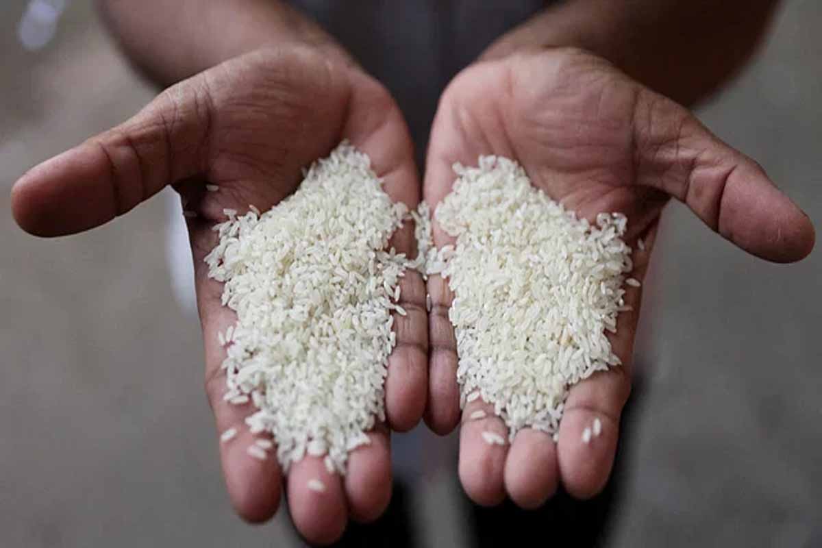 জাতিসংঘের দরপত্রে অংশ নিতে পারবে না ভারতীয় চাল রপ্তানিকারকেরা
