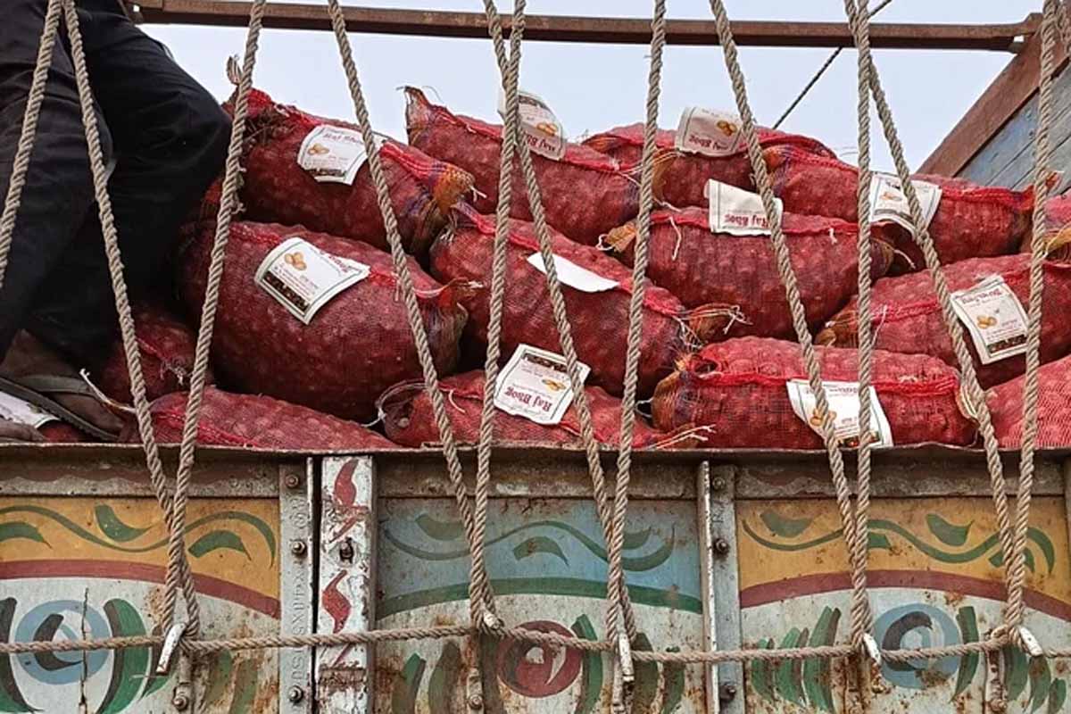ভারত থেকে প্রথমবারের মতো আমদানি হলো কচুমুখি