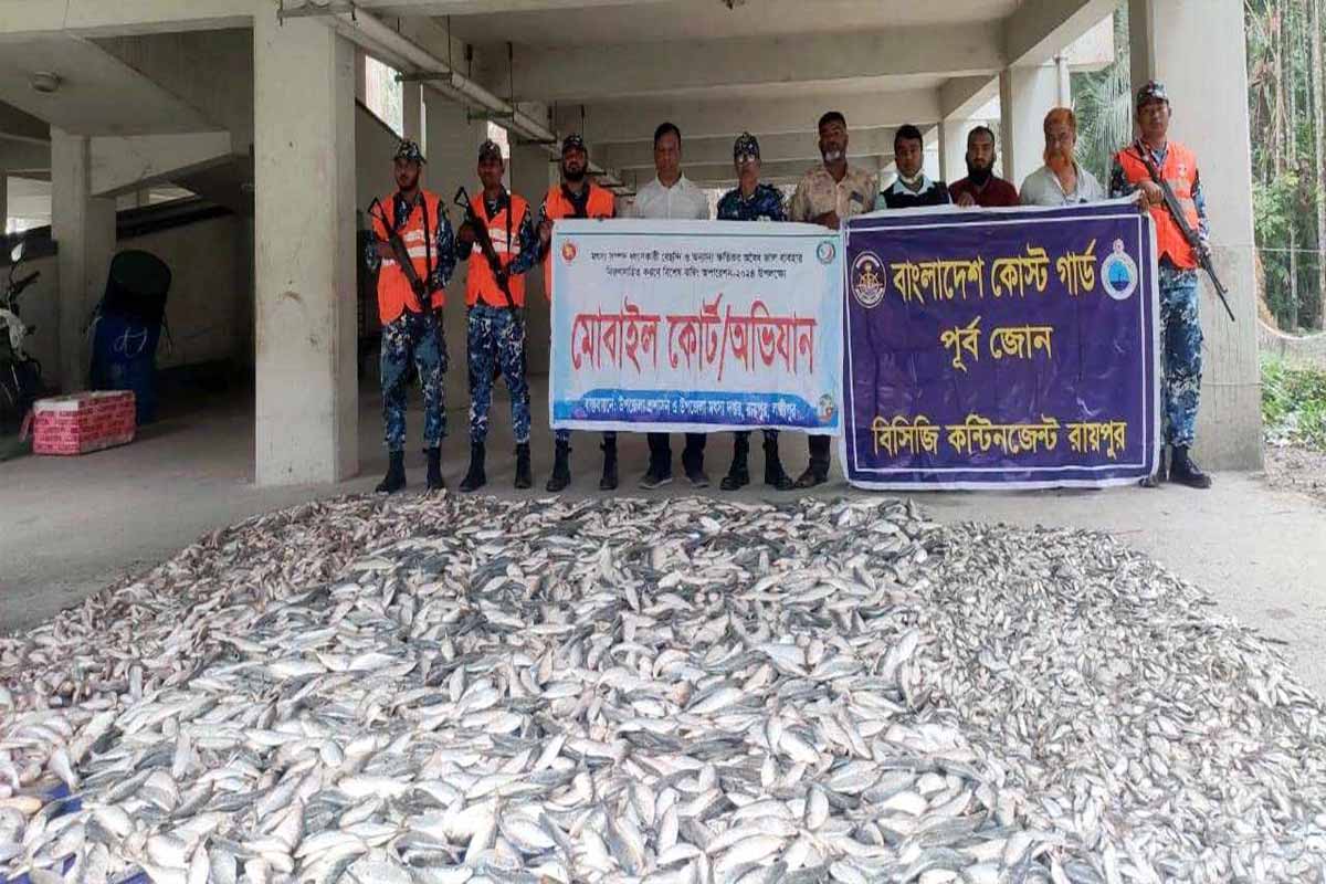 মেঘনা ঘাট থেকে ৫০ মণ জাটকা জব্দ