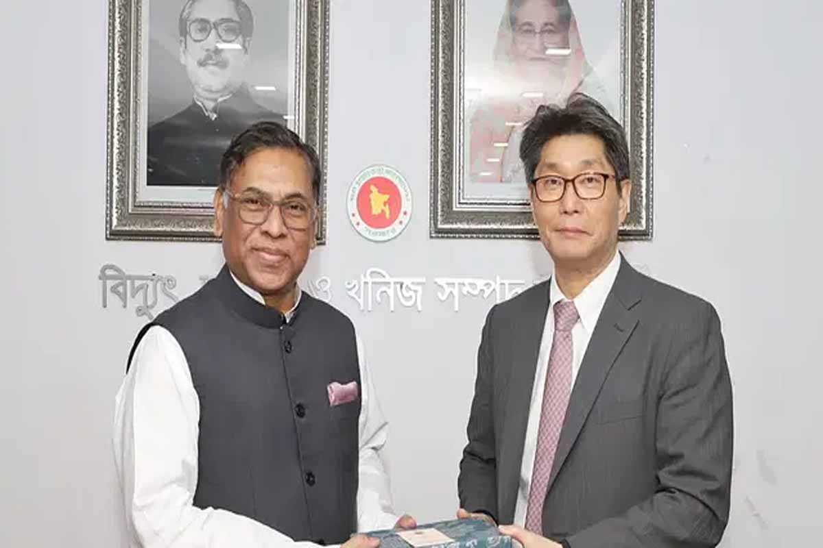 ৯ হাজার মেগাওয়াট বিদ্যুৎ আমদানির পরিকল্পনা আছে: প্রতিমন্ত্রী