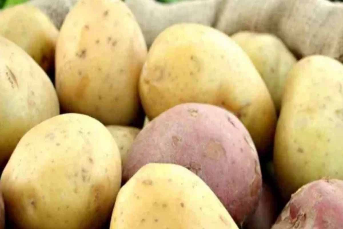 ভারত থেকে ৩৪ হাজার টন আলু আমদানির অনুমতি