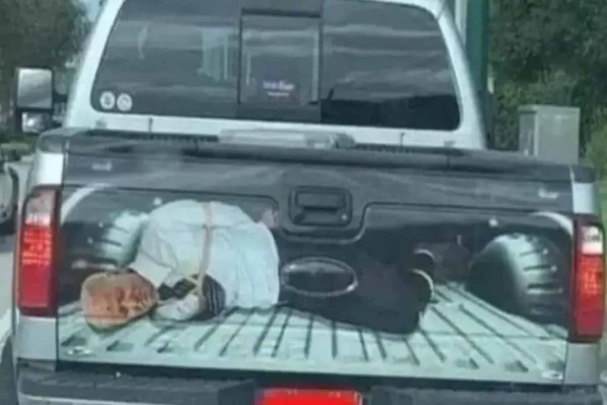 বাইডেনকে হাত-পা বেঁধে অপহরণ!