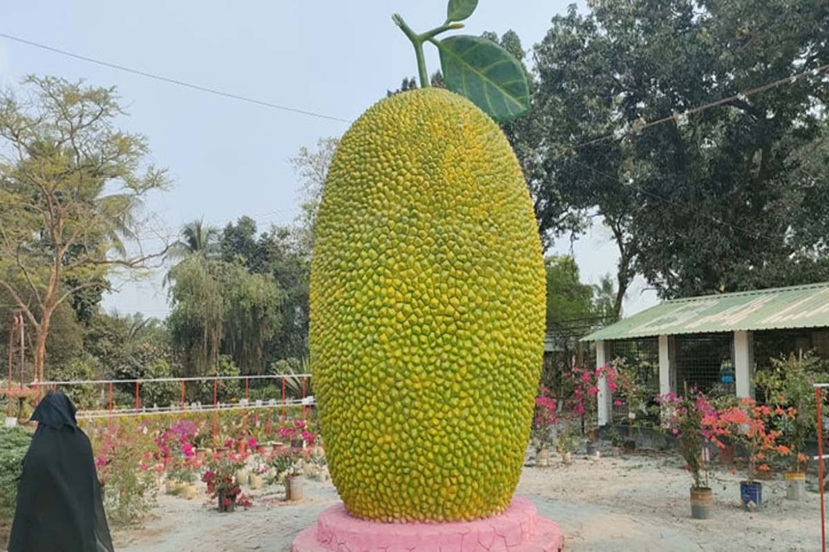 ২১ ফুট লম্বা, ৯ ফুট প্রশস্ত কাঁঠালের ভাস্কর্য