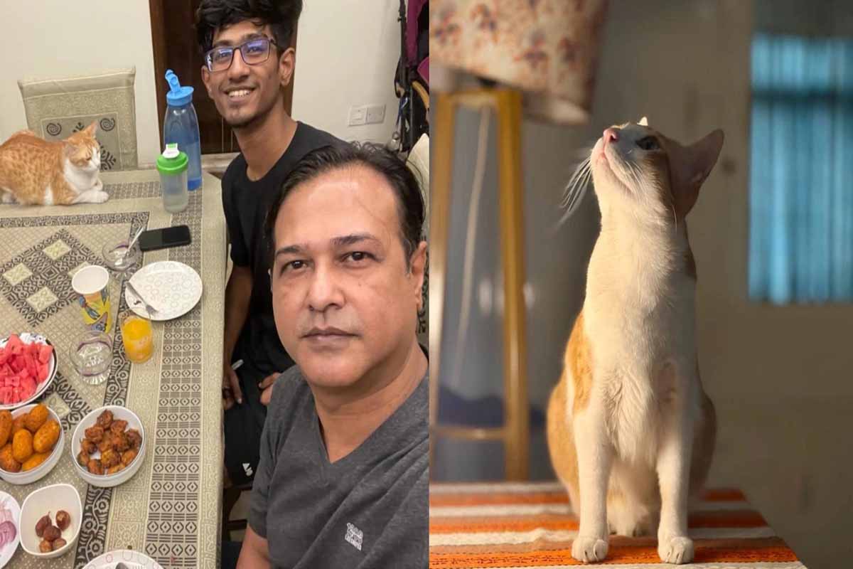 শখের বিড়াল হারিয়ে জিডি করলেন আসিফ