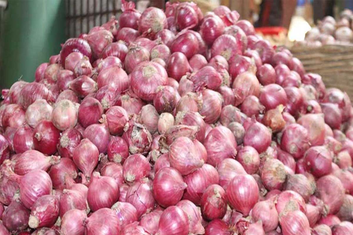 ৪০ টাকা কেজিতে ভারতীয় পেঁয়াজ বিক্রি শুরু আজ