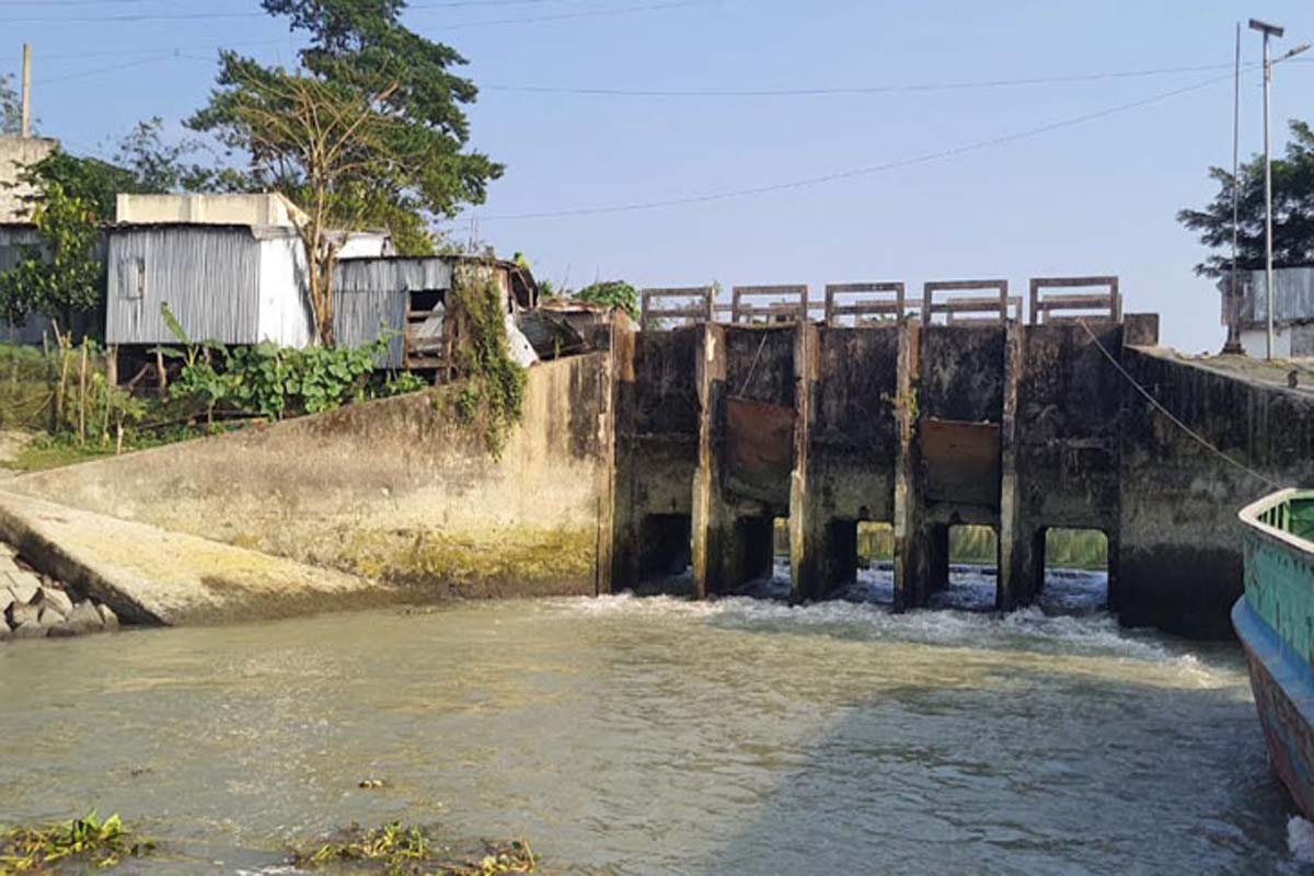 অপরিকল্পিত স্লুইস গেটে ভরাট হচ্ছে খাল, ব্যাহত হচ্ছে কৃষি কাজ