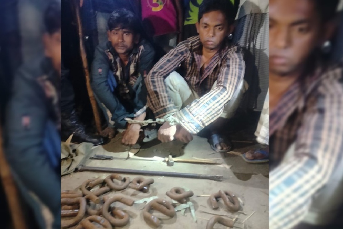 রেললাইনের ক্লিপ খোলার অভিযোগে আটক ২