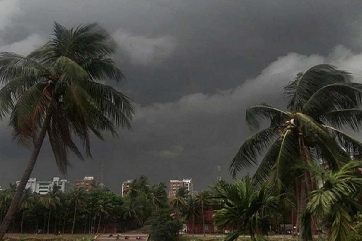 দিনের বেলায় যেন হঠাৎ রাত নেমে এলো