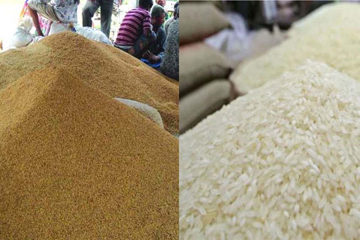 ৪৫ টাকা দরে চাল, ৩২ টাকা দরে ধান কিনবে সরকার