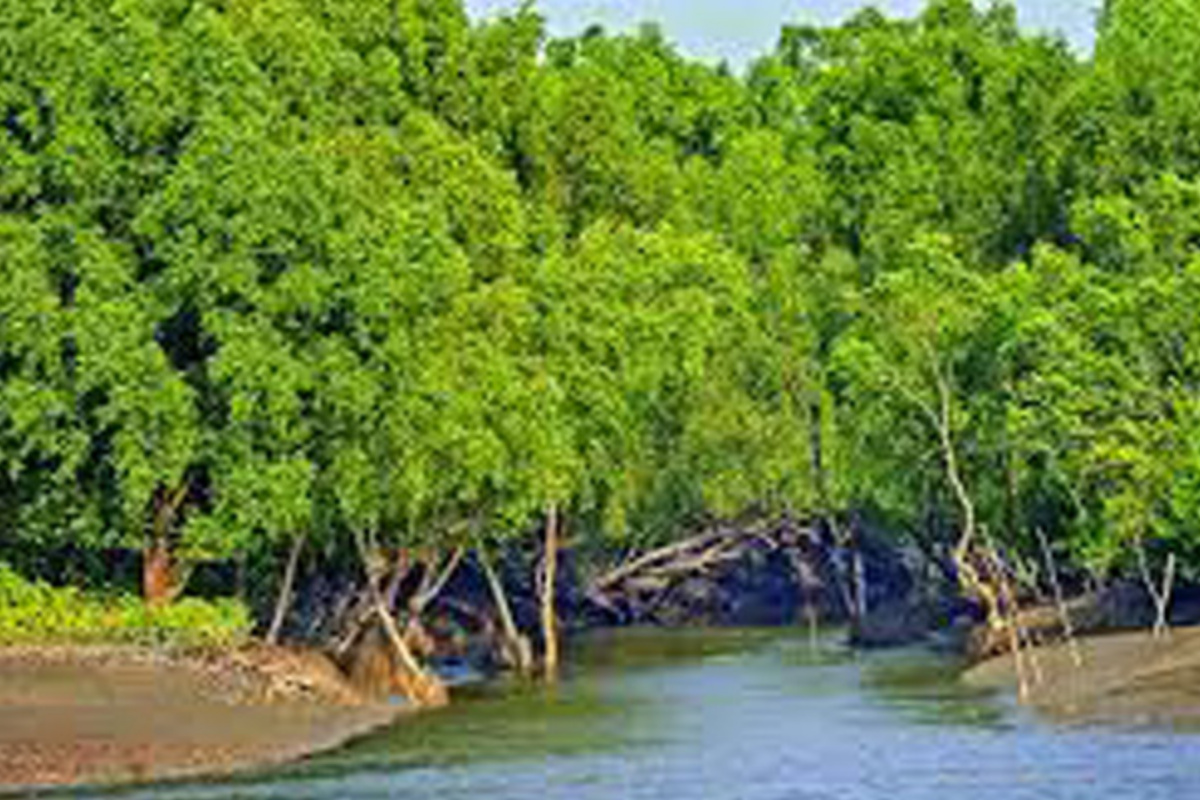 তিন জেলে নিখোঁজ সুন্দরবনে