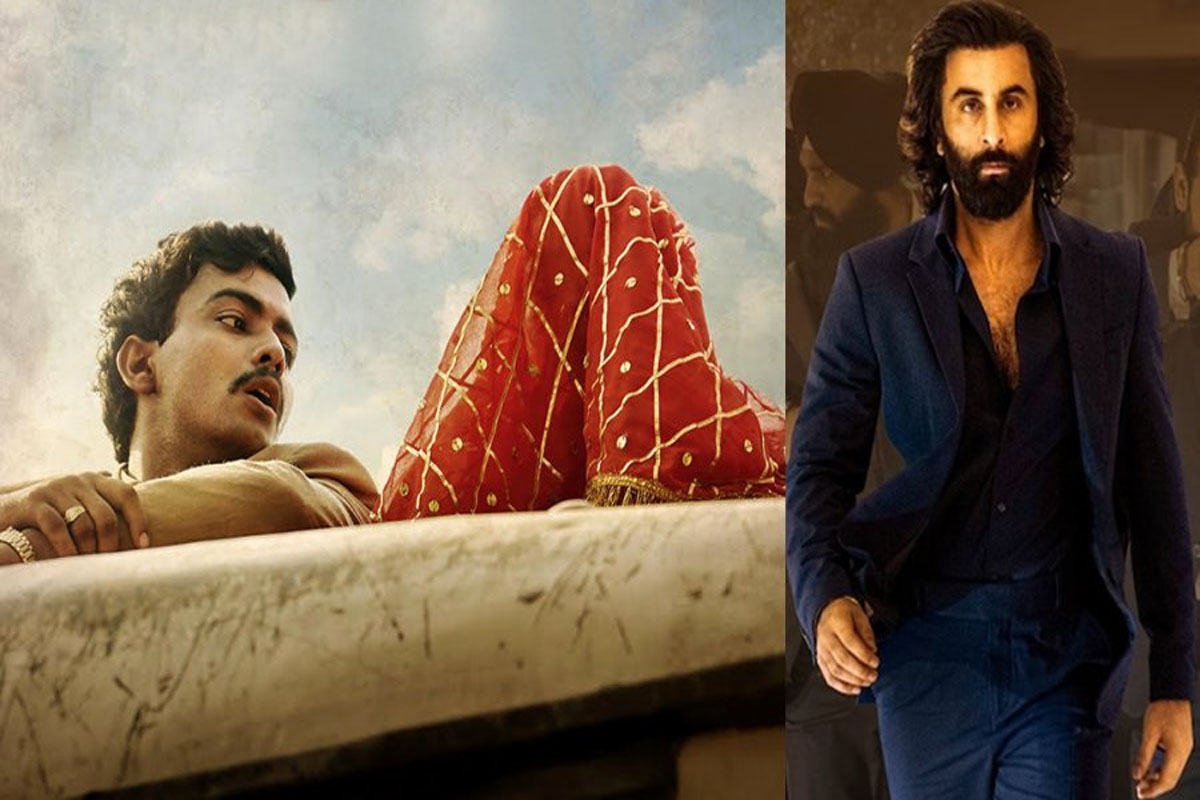 ‘অ্যানিমেল’কে ছাড়িয়ে গেলো ‘লাপাতা লেডিস’!