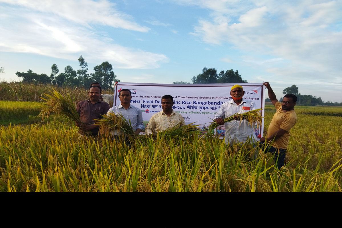 রাণীশংকৈলে জিংক সমৃদ্ধ বঙ্গবন্ধু ধান১০০ উৎপাদন শীর্ষক কৃষক মাঠ দিবস অনুষ্ঠিত