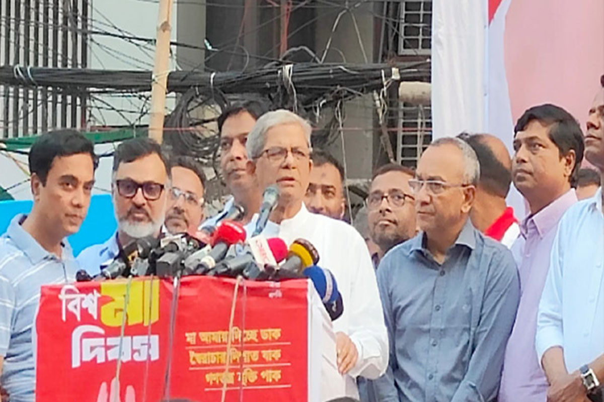 আ.লীগ নয়, দেশ চালাচ্ছে অদৃশ্য শক্তি: মির্জা ফখরুল