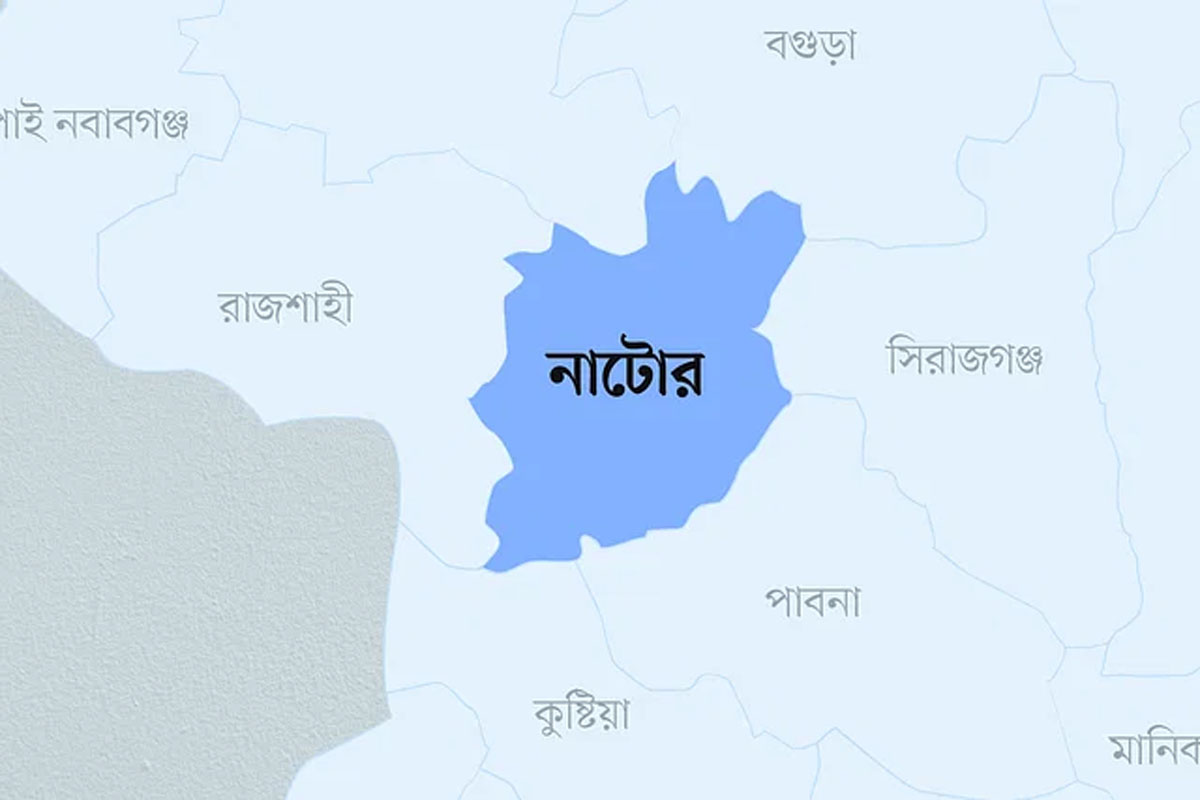 সিংড়ায় শিশু নির্যাতনের অভিযোগে কর্মচারীকে বরখাস্ত করলেন ইউএনও