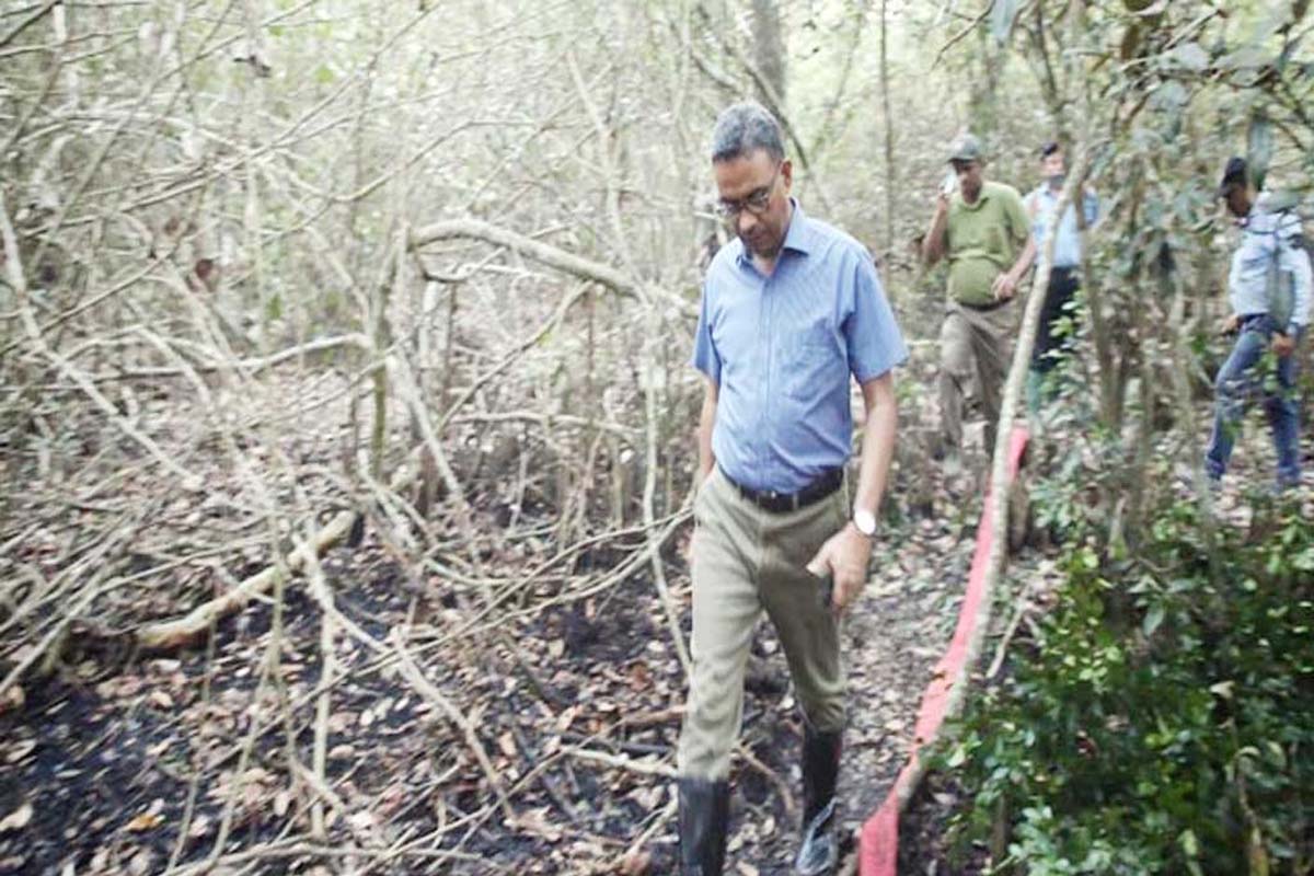 সুন্দরবনের আগুন নিয়ন্ত্রণে, ধোঁয়া দেখলেই পানি স্প্রে