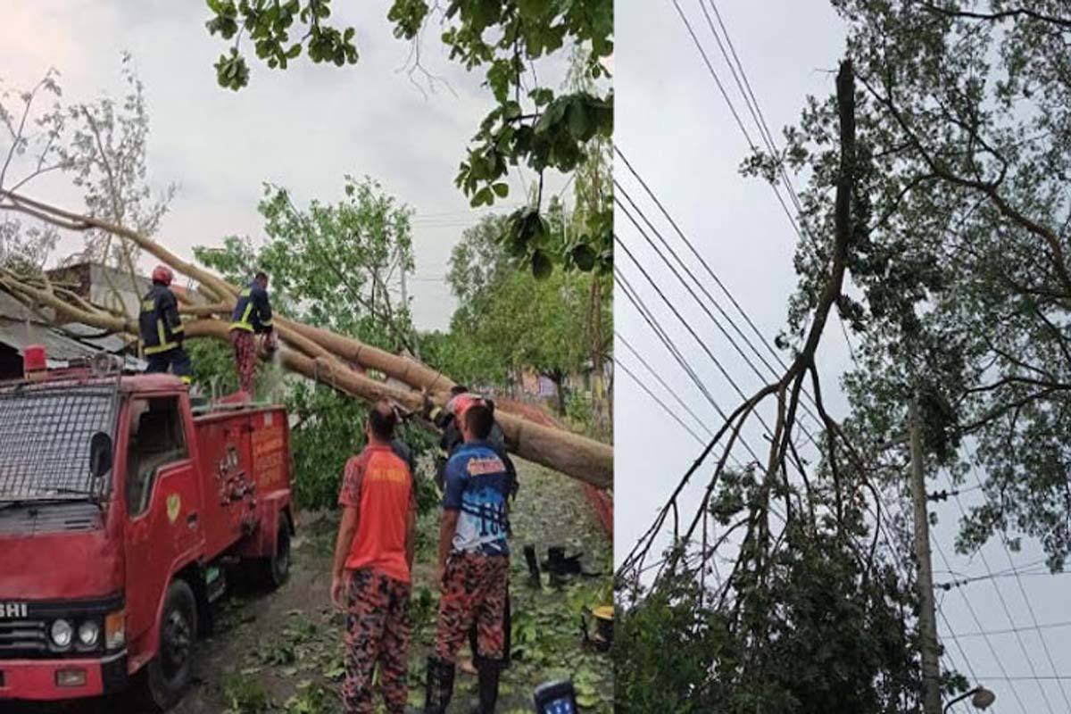 ঝড় ও শিলা বৃষ্টিতে মুন্সীগঞ্জে ব্যাপক ক্ষতি, বিদ্যুৎ লাইন বিচ্ছিন্ন