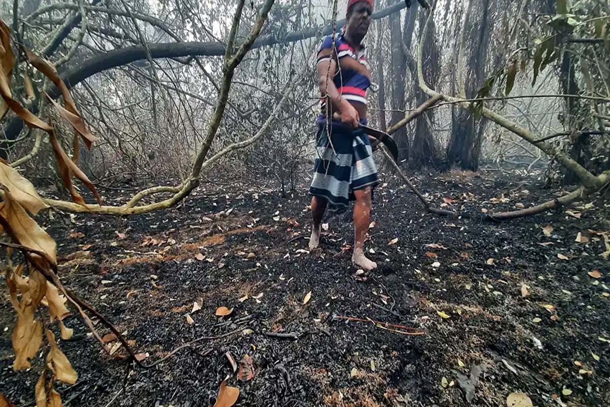 ২২ বছরে ২৫ বার পুড়েছে সুন্দরবন