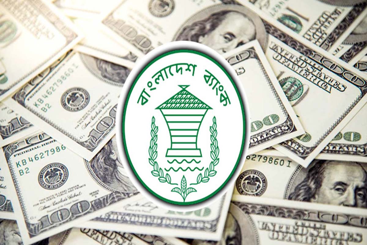 ১০ দিনে এলো ৮১ কোটি ডলার রেমিট্যান্স