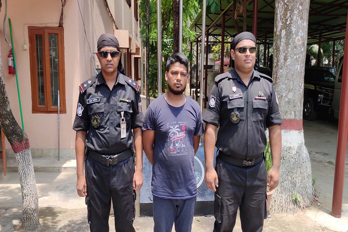 কুমিল্লায় ৮৪ কেজি গাজাসহ মাদক কারবারি আটক
