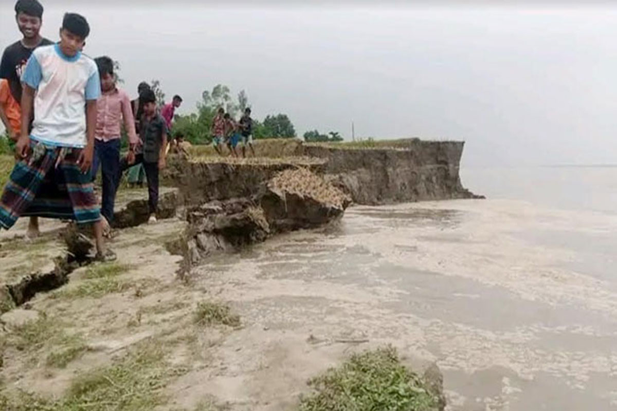 হু হু করে পানি বাড়ছে যমুনায়, নদীগর্ভে বিলিন হচ্ছে ঘর-বাড়ি