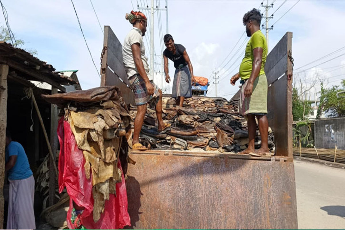 ঢাকার বাইরের লবণযুক্ত চামড়া ঢুকছে ট্যানারিতে ঢাকার বাইরের লবণযুক্ত চামড়া ঢুকছে ট্যানারিতে