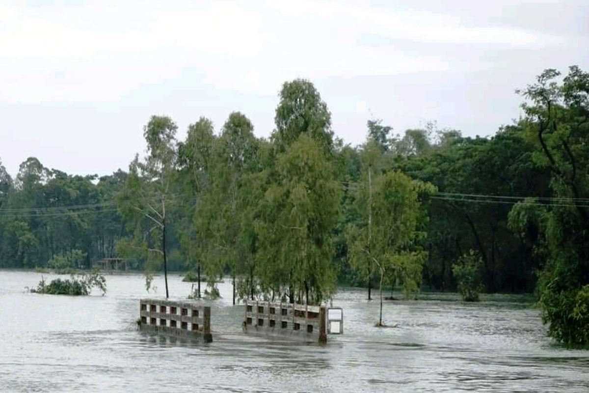 টেকনাফের অর্ধশত গ্রাম প্লাবিত, পাহাড়ধসের আশঙ্কা