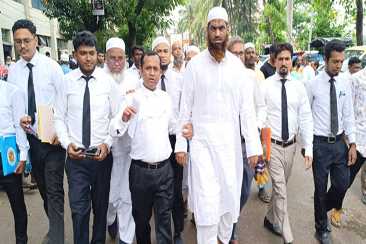 ধর্ষণ মামলায় জামিন পেলেন মামুনুল হক