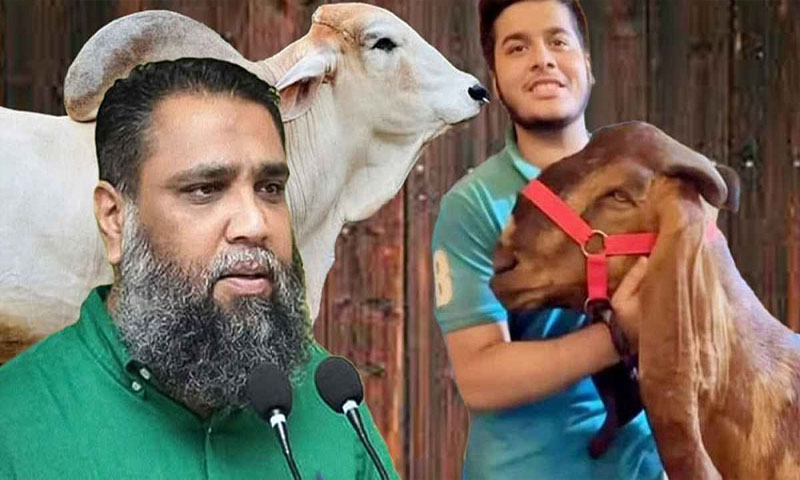 ছাগলকাণ্ডে আলোচিত সাদিক অ্যাগ্রো উচ্ছেদ করবে ডিএনসিসি