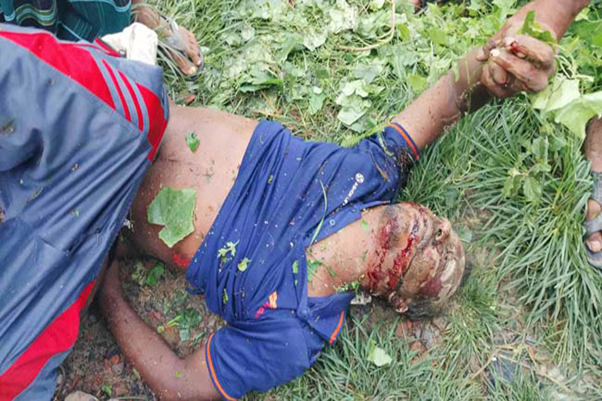 নড়াইলে সড়ক দুর্ঘটনায় ভ্যান চালক নিহত