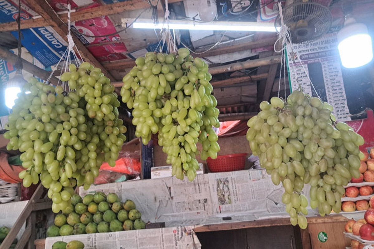 চাঁদপুরে আঙুরের নামে বিক্রি হচ্ছে মনাক্কা
