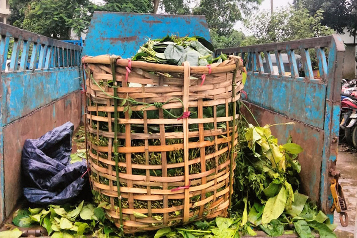 পান বোঝাই পিক-আপ থেকে ইয়াবা উদ্ধার, চালক আটক