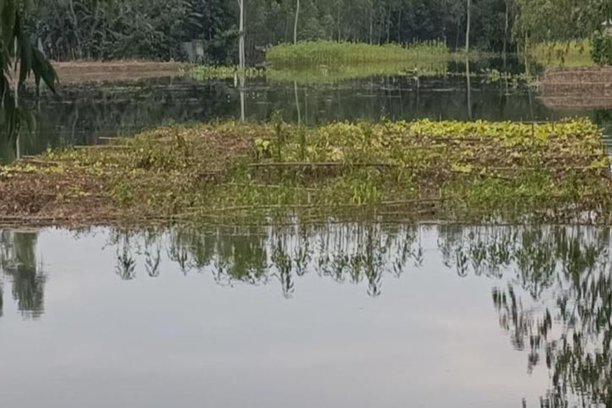 কুড়িগ্রামে বন্যায় কৃষিতে ক্ষতি ১০৫ কোটি টাকা
