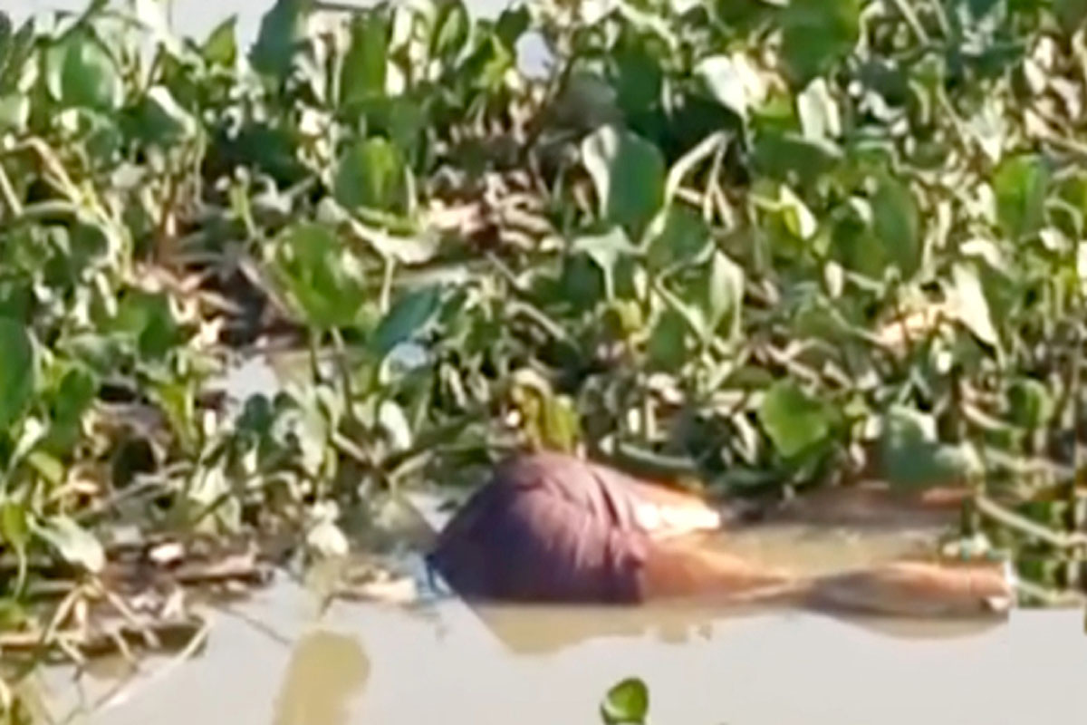 নড়াইলের মধুমতি নদী থেকে অজ্ঞাত পরিচয় যুবকের মরদেহ উদ্ধার