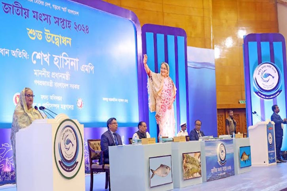 তদন্তে জাতিসংঘসহ আন্তর্জাতিক সংস্থার সহযোগিতা চেয়েছেন প্রধানমন্ত্রী