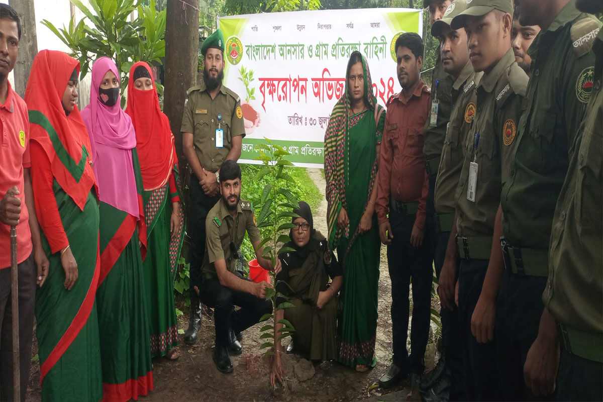 কমলনগরের আনসার ও ভিডিপির বৃক্ষরোপণ