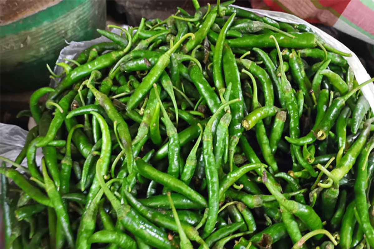 কাঁচা মরিচের কেজি ৩০০ টাকা, সবজির দামও চড়া
