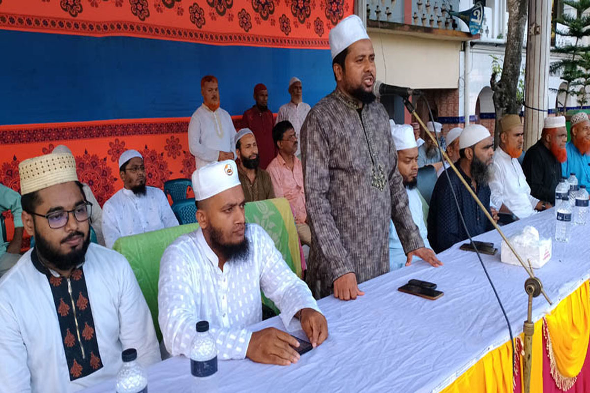 লোহাগড়ায় জামায়াতে ইসলামীর শান্তি সমাবেশ