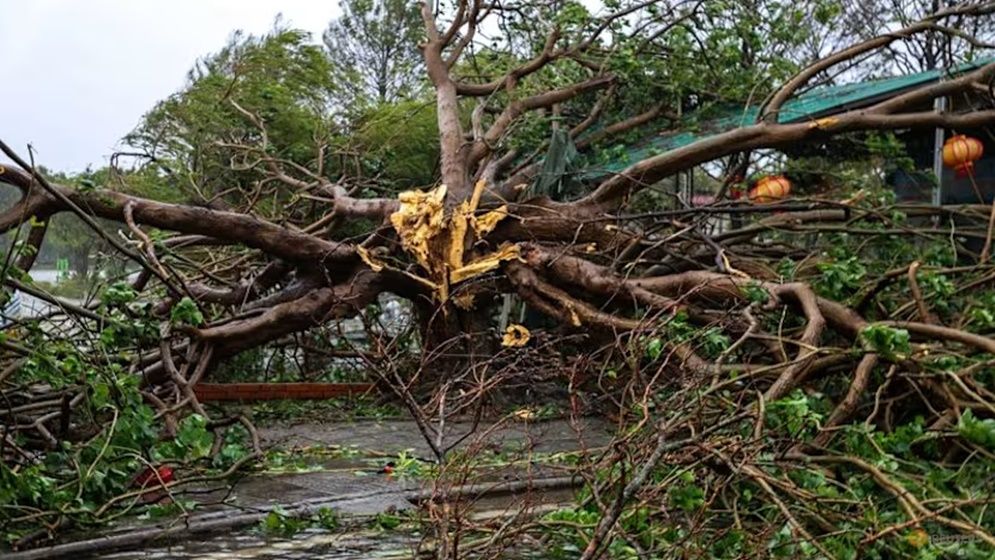ভিয়েতনামে টাইফুন বুয়ালোইয়ে মৃত্যু ১৯, নিখোঁজ ২১