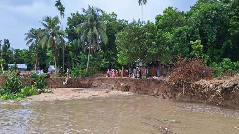নড়াইলের মধুমতির ভাঙনে নিঃস্ব দুই শতাধিক পরিবার